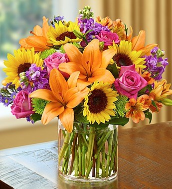 Giftblooms- Online Gifts Shop: Same Day Gifts Delivery